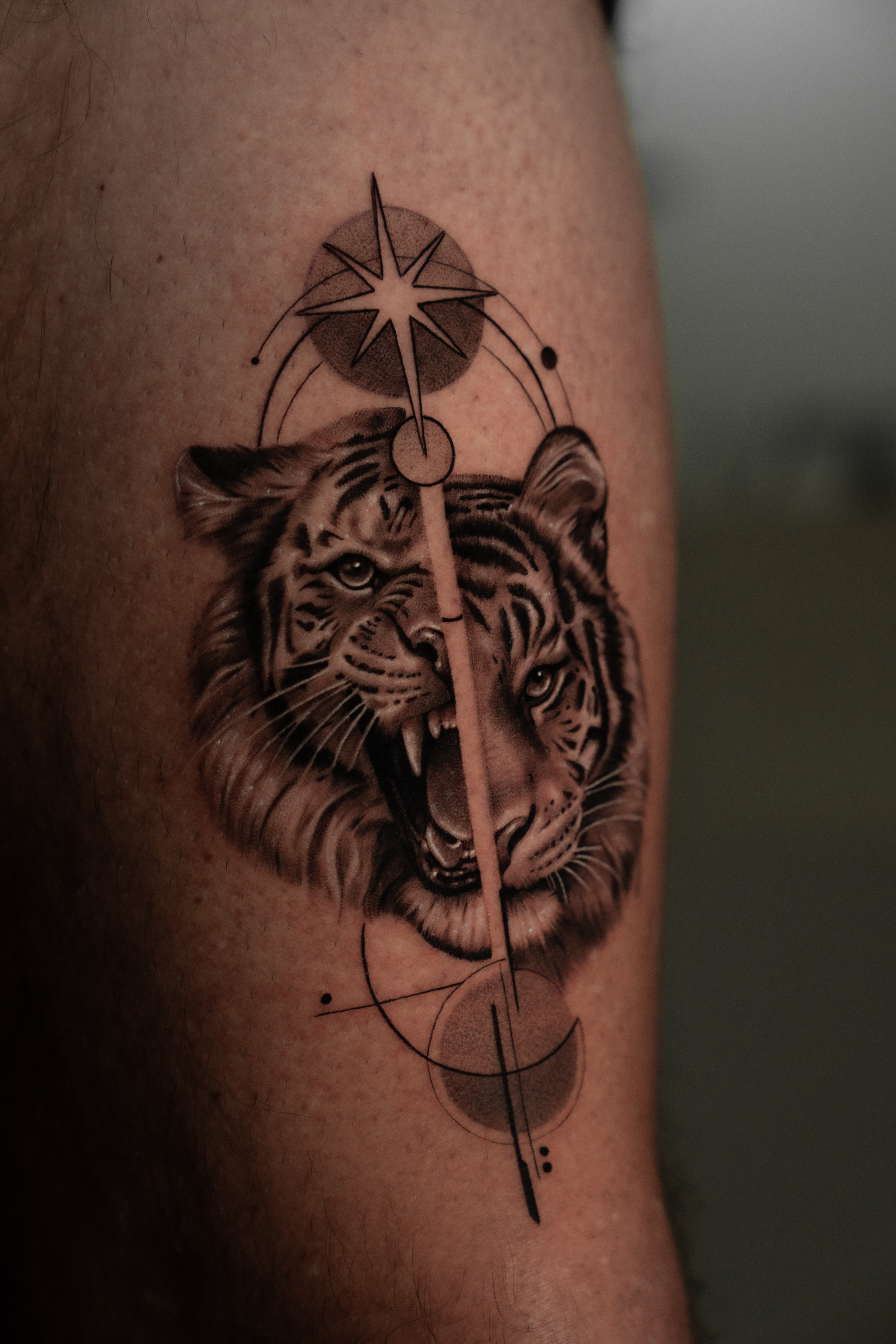Tigre conceptual en realismo de sombras
