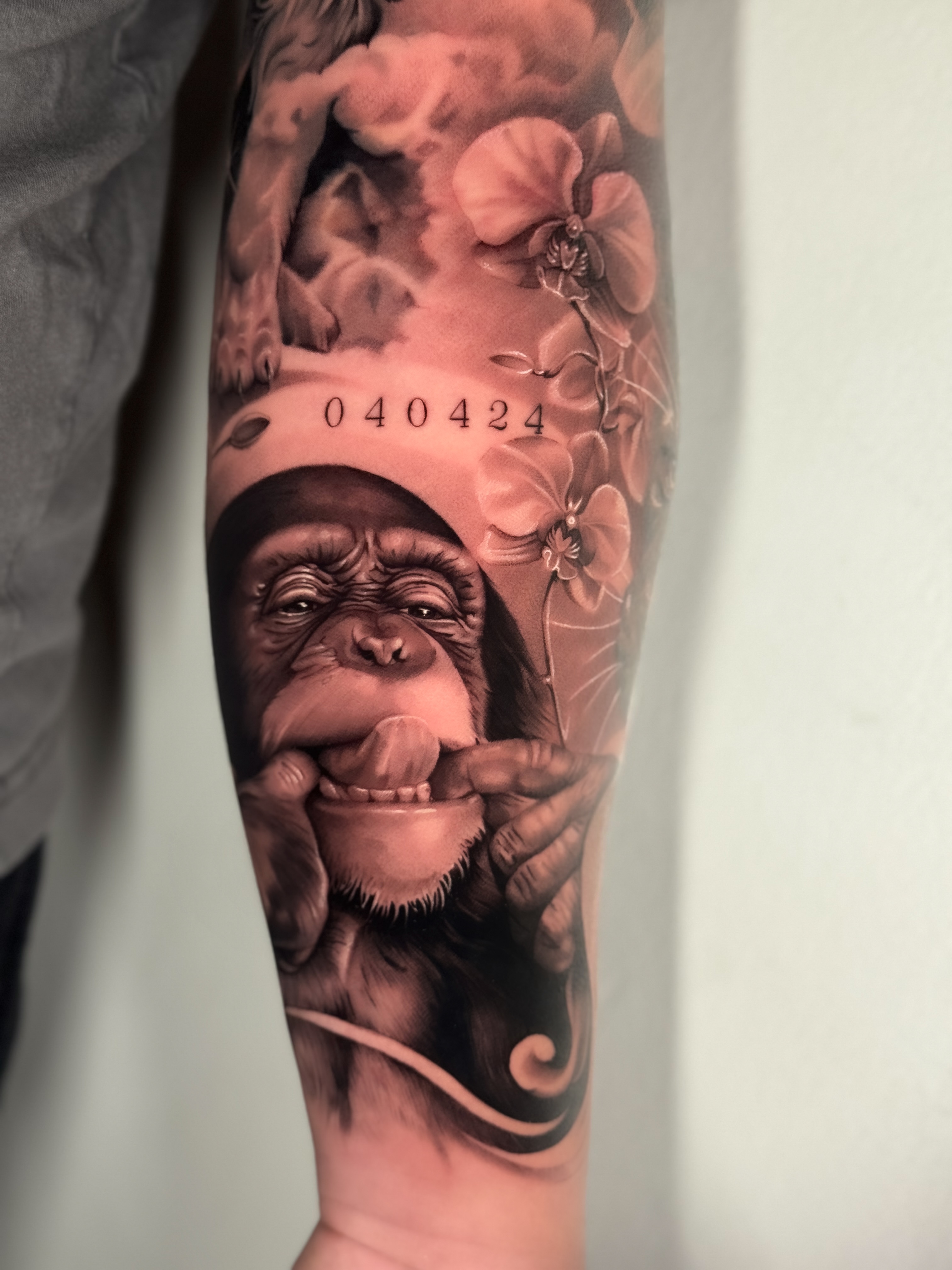 Chimpancé en realismo de sombras
