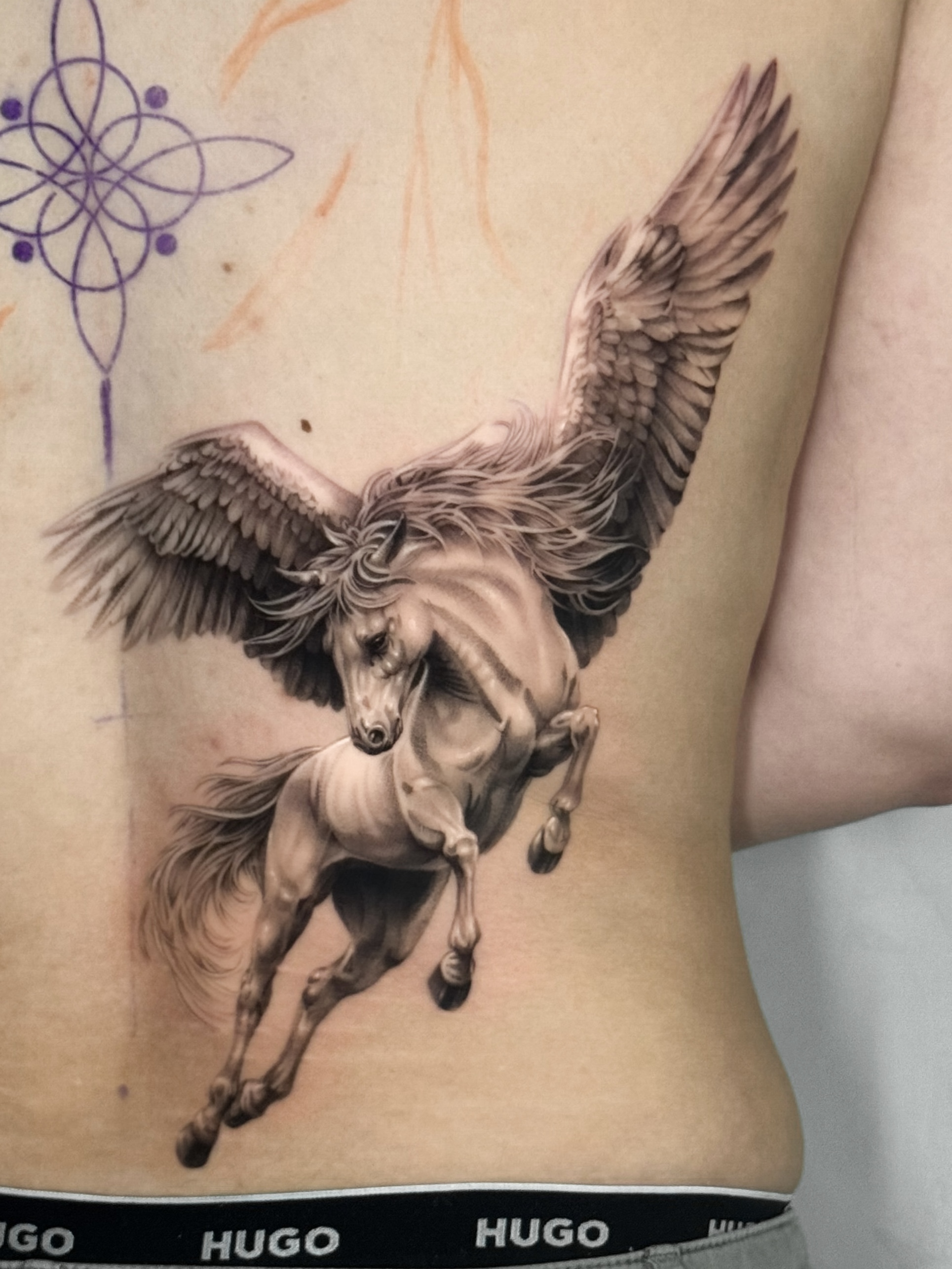 Pegasus, caballo alado mitológico en realismo de sombras, tatuaje de espalda