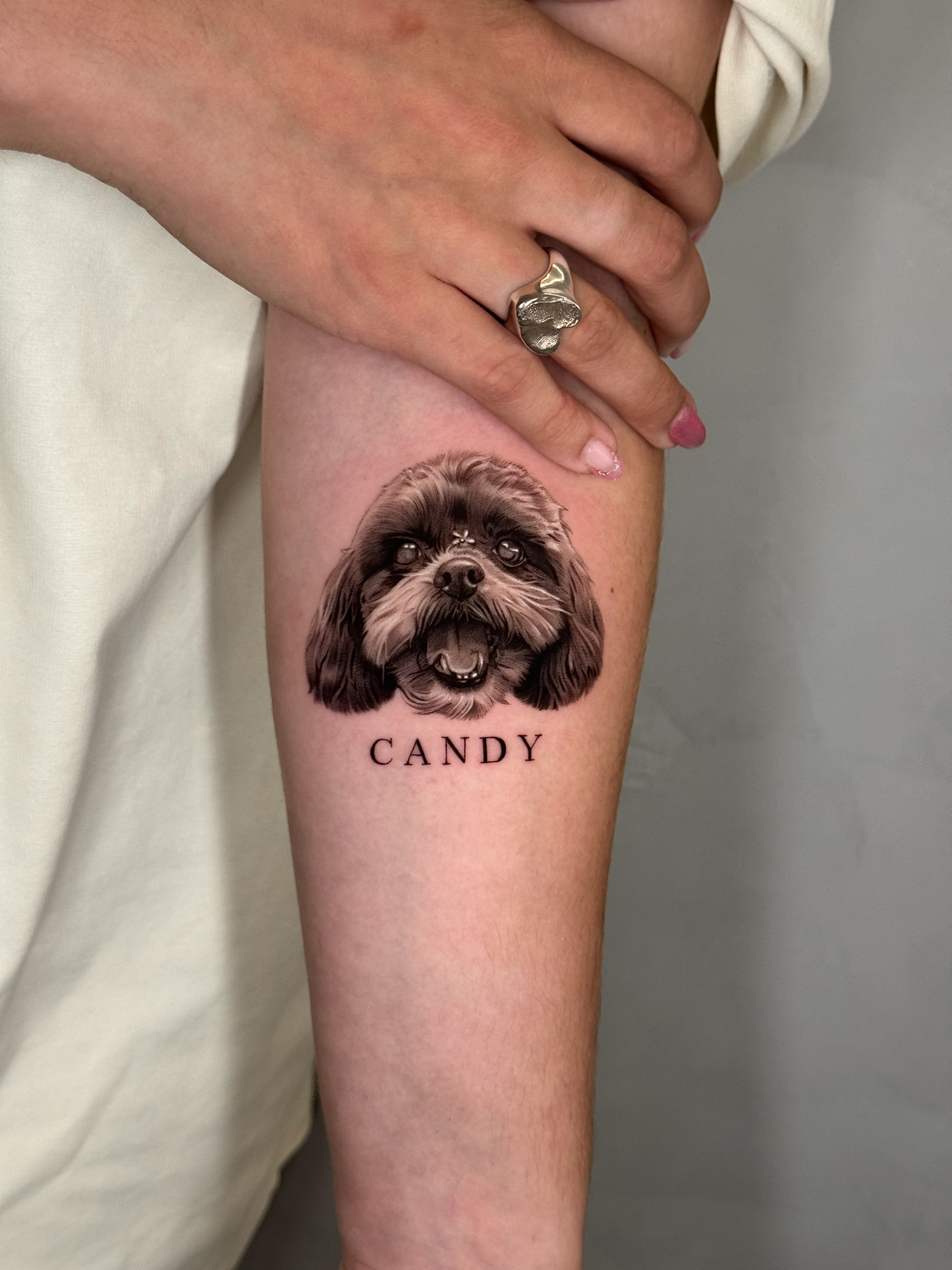 Retrato de Candy, mascota en microrrealismo, tatuaje en antebrazo