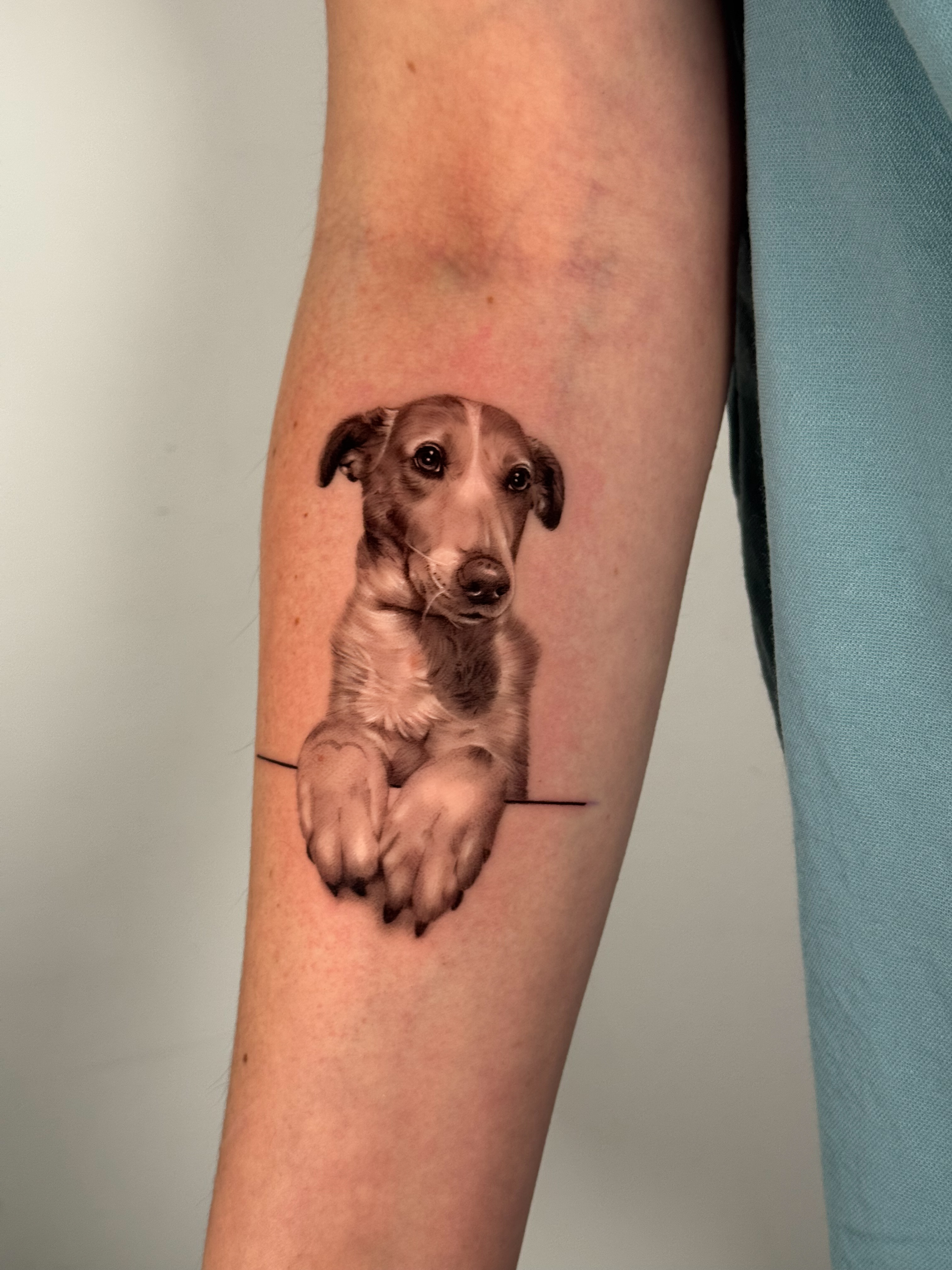 Retrato de mascota en microrrealismo, cuerpo completo 10 cm