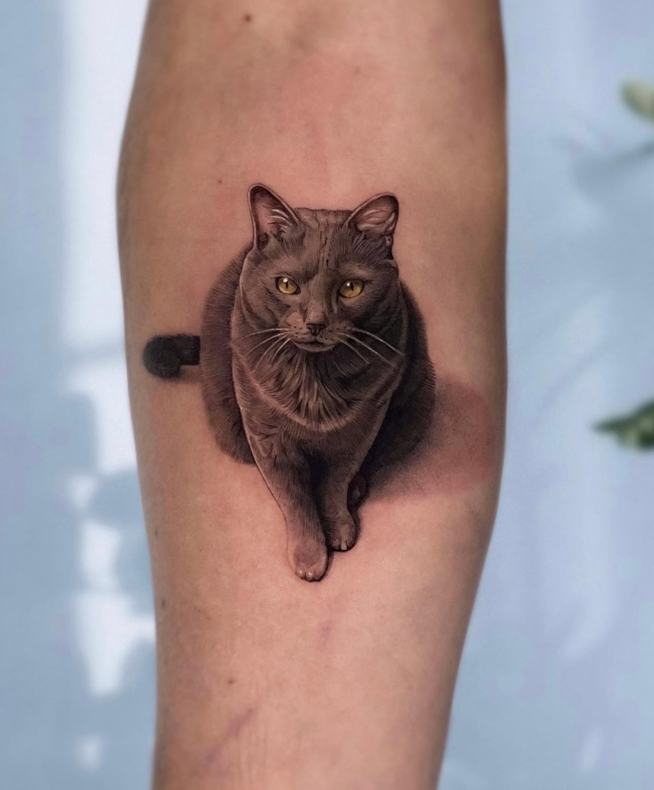 Retrato de mascota en microrrealismo, cuerpo completo 12 cm