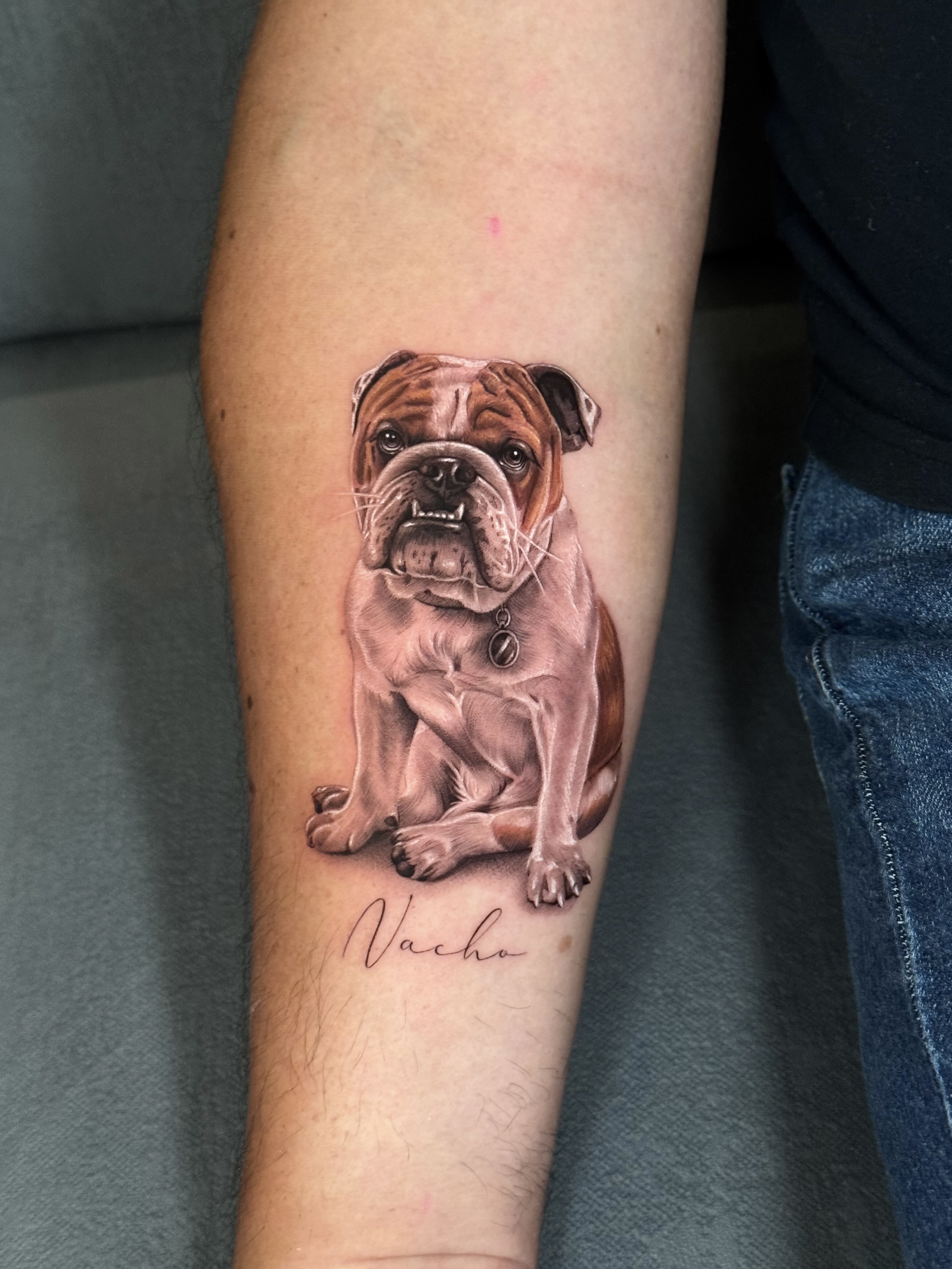 Retrato de Nacho, mascota en microrrealismo, tatuaje en antebrazo